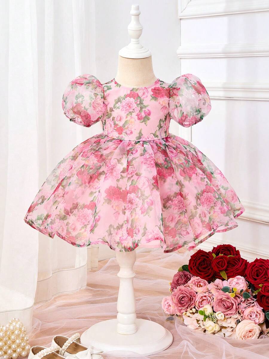 Pink Floral Mesh Embroidered Short Sleeve Dress for Baby Girls