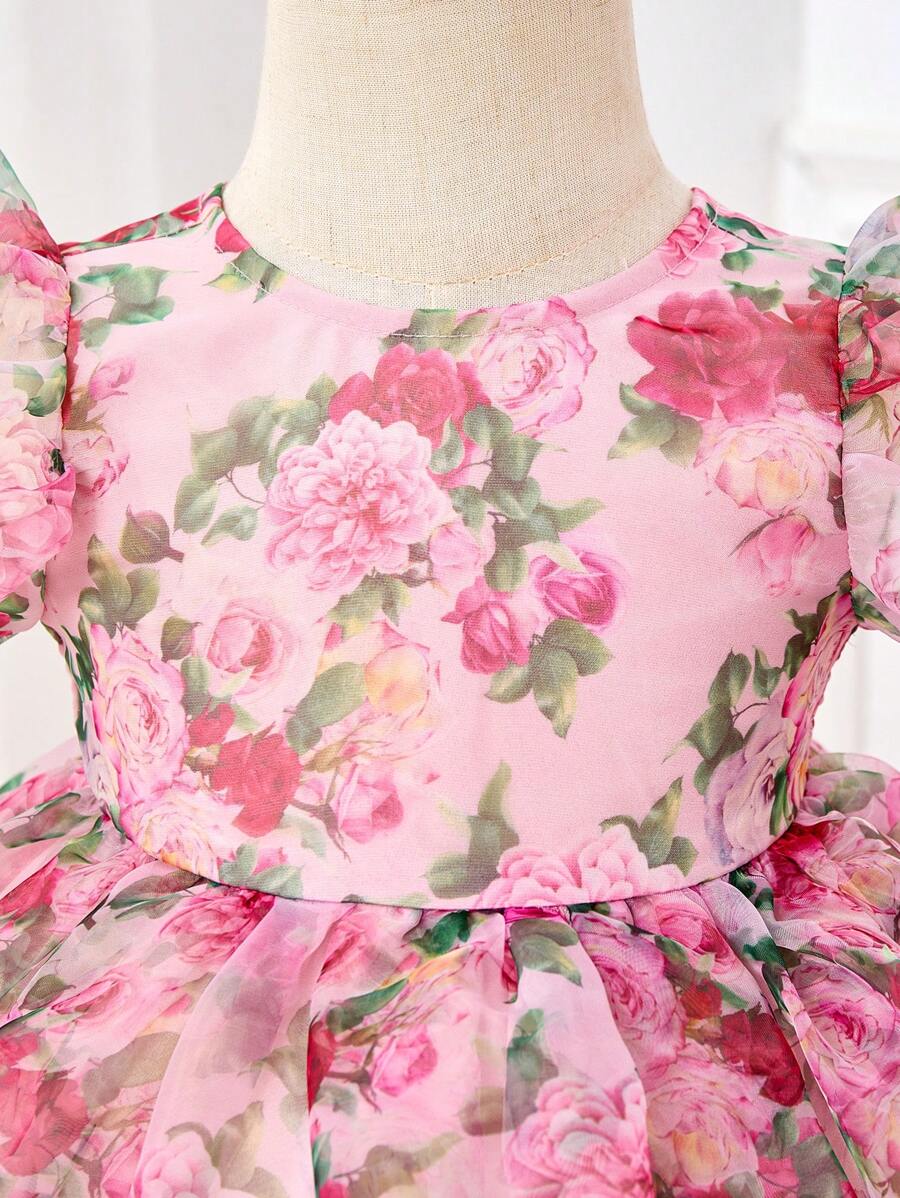Pink Floral Mesh Embroidered Short Sleeve Dress for Baby Girls