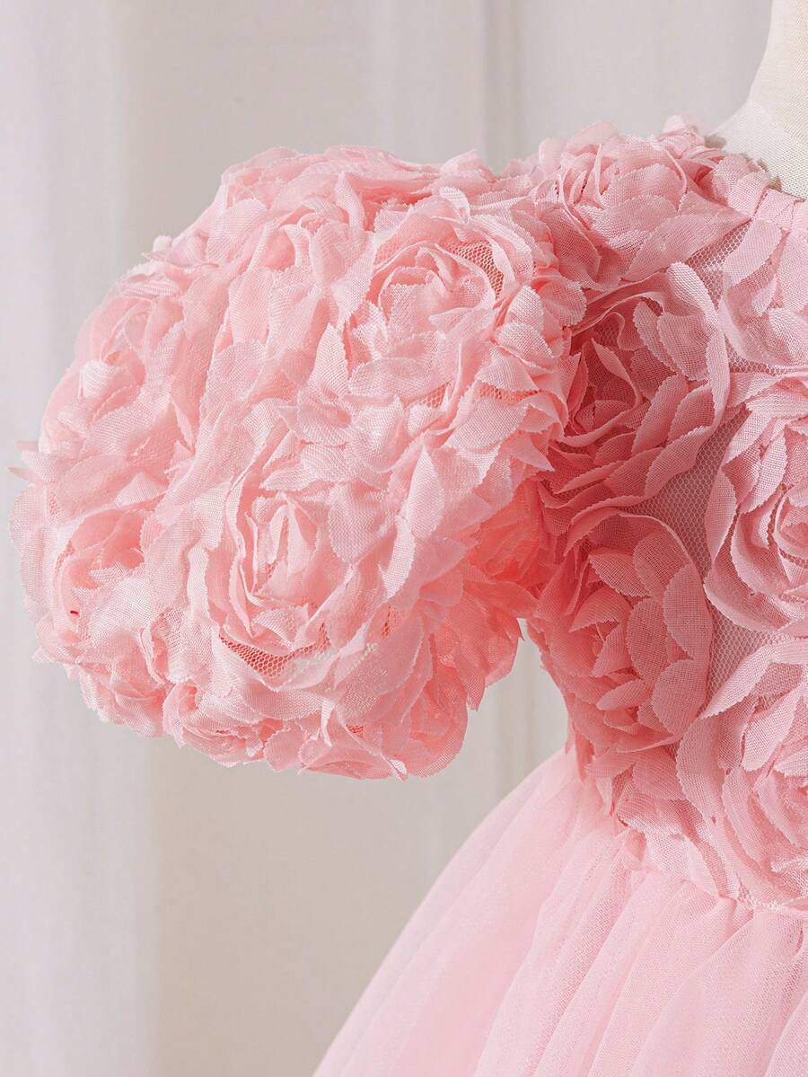 Pink Floral Mesh Embroidered Short Sleeve Dress for Baby Girls