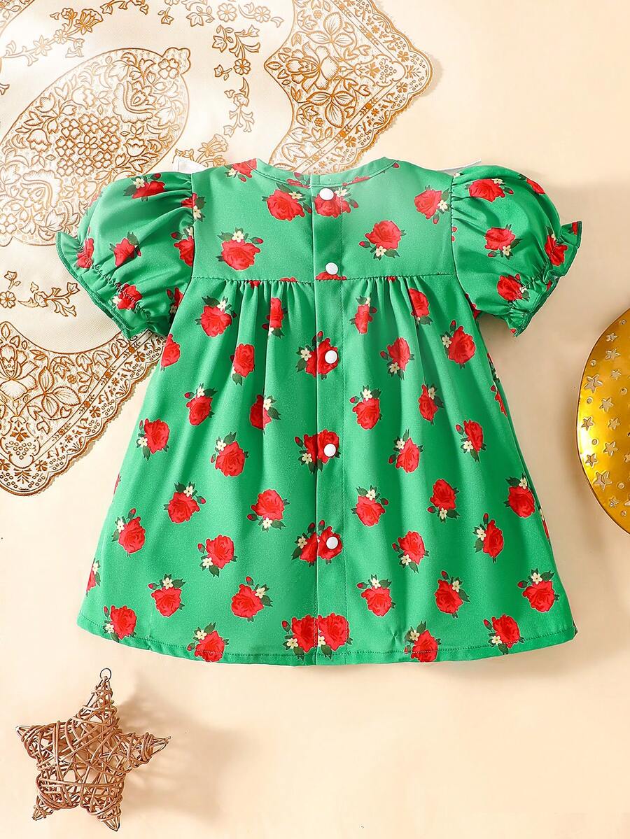 Baby Embroidered Puff Sleeve Dress for Cute Summer Outings and Photoshoots