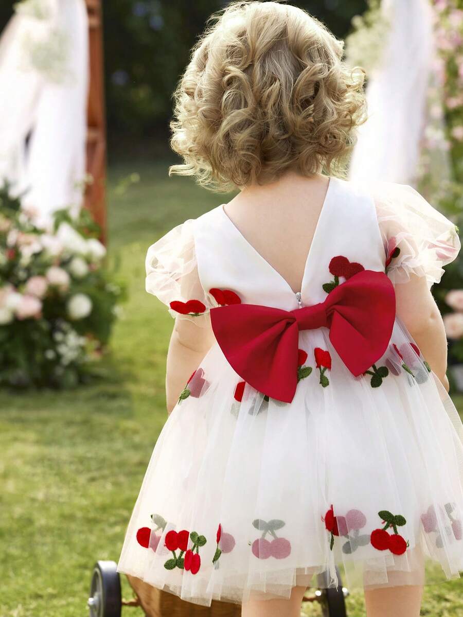 Pink Floral Mesh Embroidered Short Sleeve Dress for Baby Girls