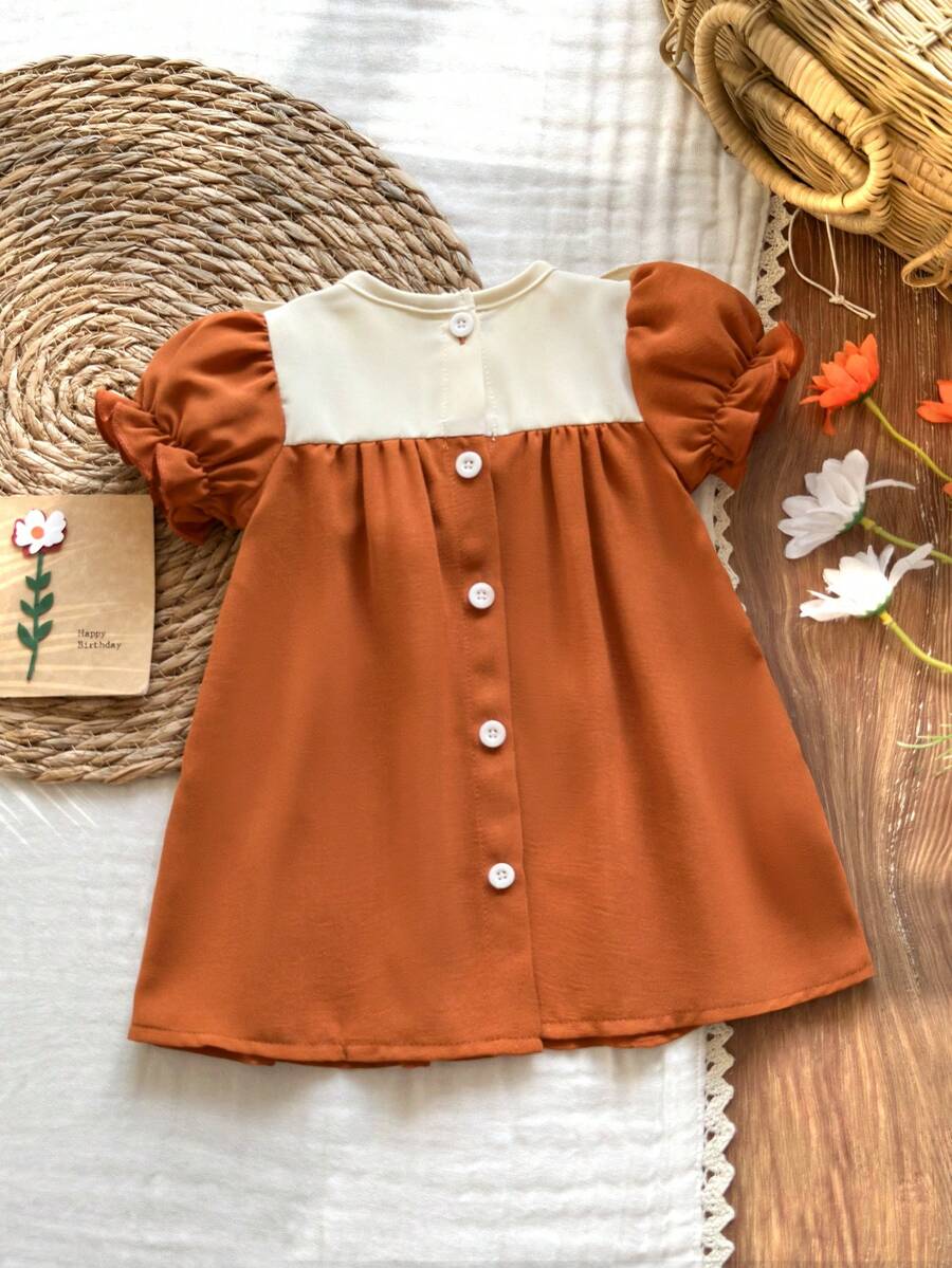 Baby Embroidered Puff Sleeve Dress for Cute Summer Outings and Photoshoots