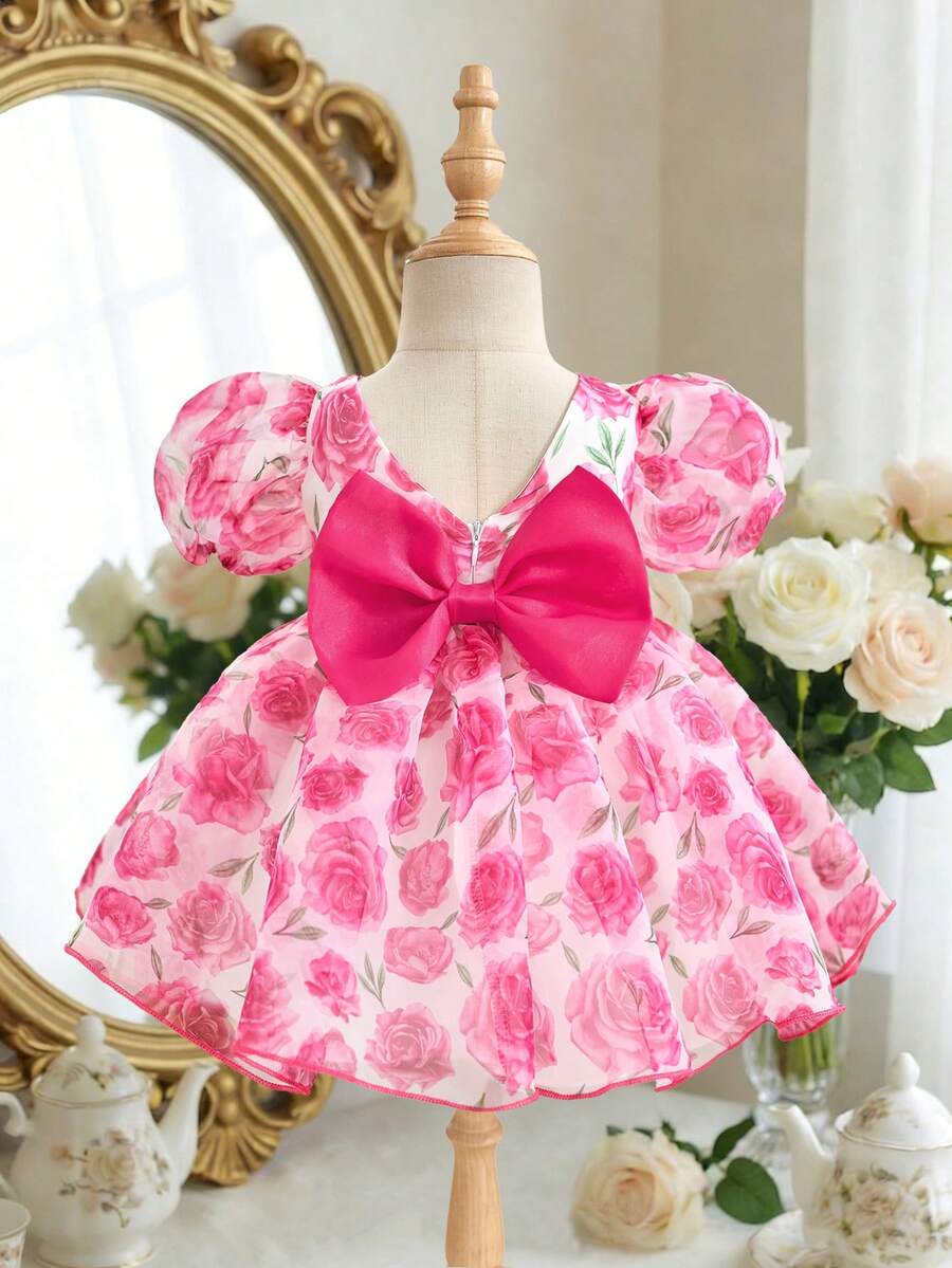 Pink Floral Mesh Embroidered Short Sleeve Dress for Baby Girls