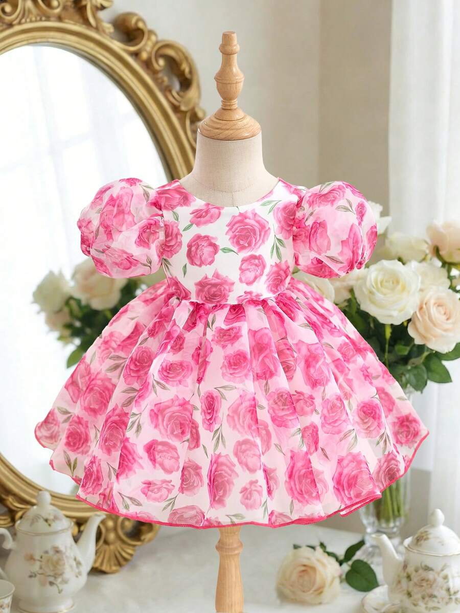Pink Floral Mesh Embroidered Short Sleeve Dress for Baby Girls