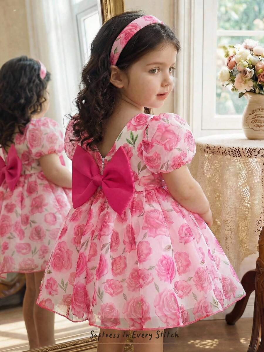 Pink Floral Mesh Embroidered Short Sleeve Dress for Baby Girls