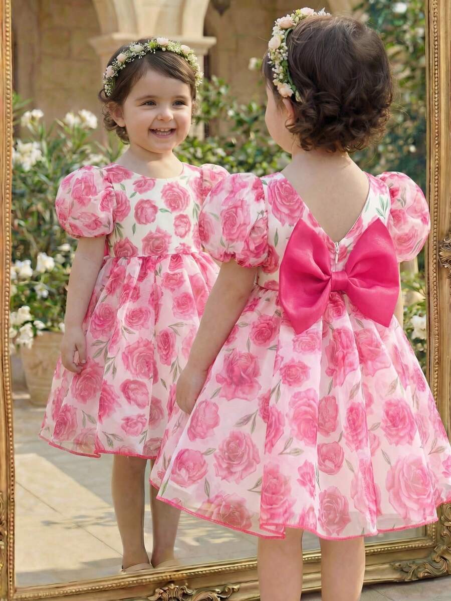 Pink Floral Mesh Embroidered Short Sleeve Dress for Baby Girls