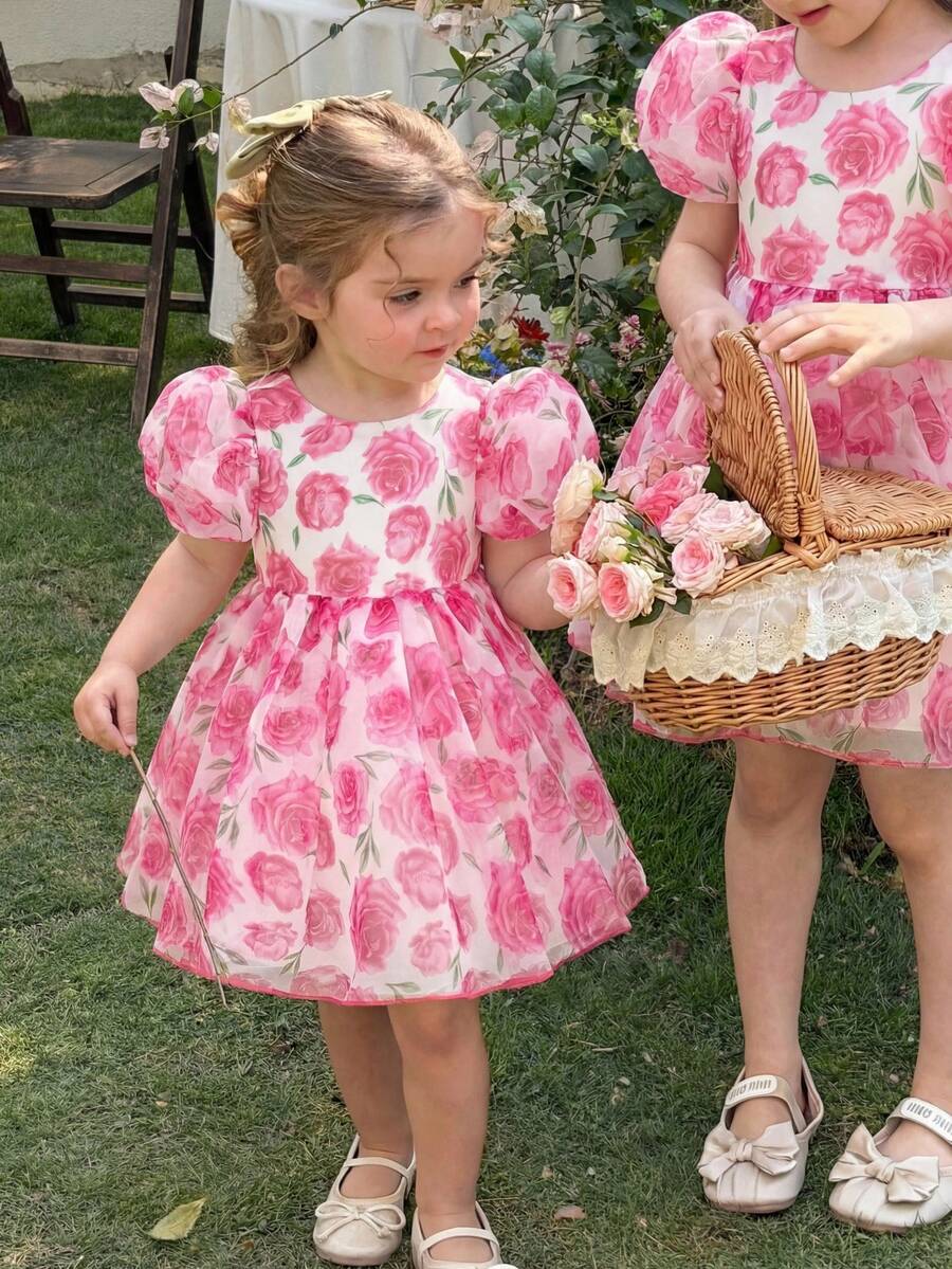 Pink Floral Mesh Embroidered Short Sleeve Dress for Baby Girls