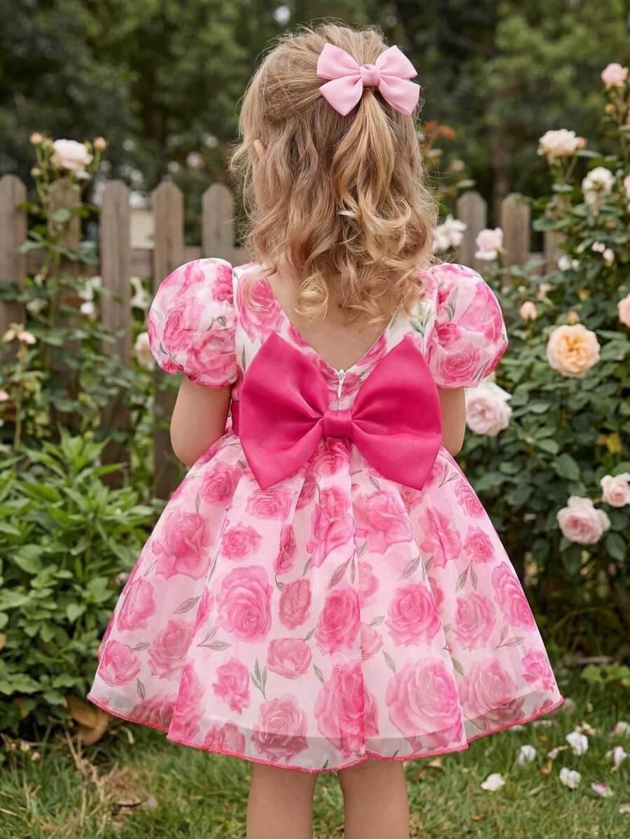 Pink Floral Mesh Embroidered Short Sleeve Dress for Baby Girls