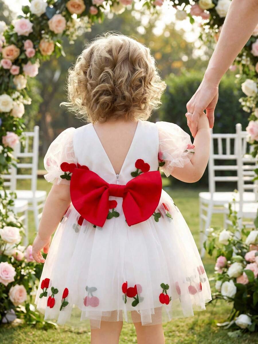 Pink Floral Mesh Embroidered Short Sleeve Dress for Baby Girls