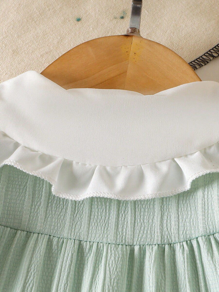 Baby Embroidered Puff Sleeve Dress for Cute Summer Outings and Photoshoots