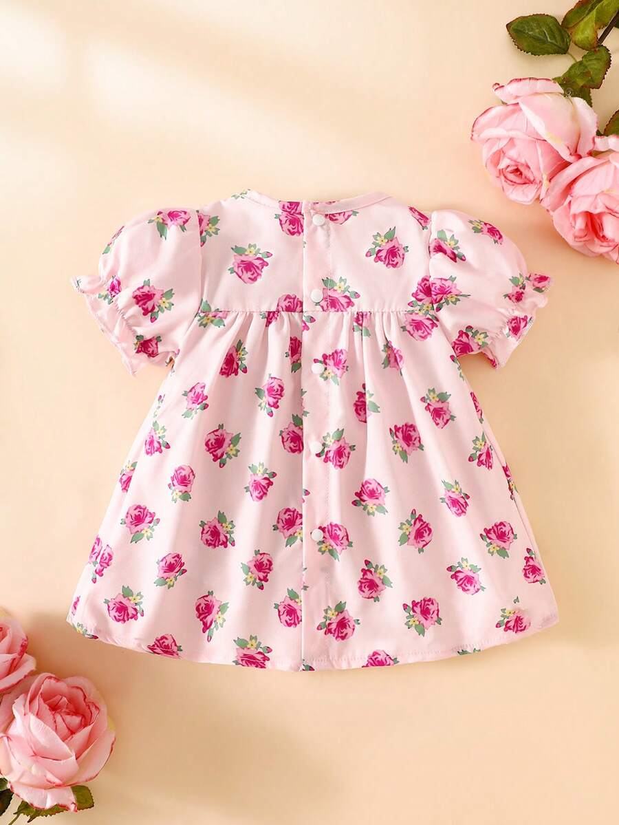 Baby Embroidered Puff Sleeve Dress for Cute Summer Outings and Photoshoots