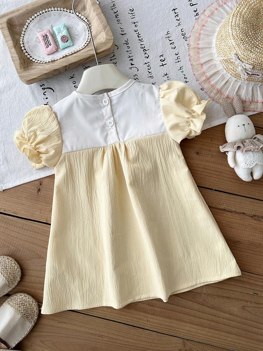 Infant Girl Peter Pan Collar Floral Embroidered Summer Dress for Casual Wear