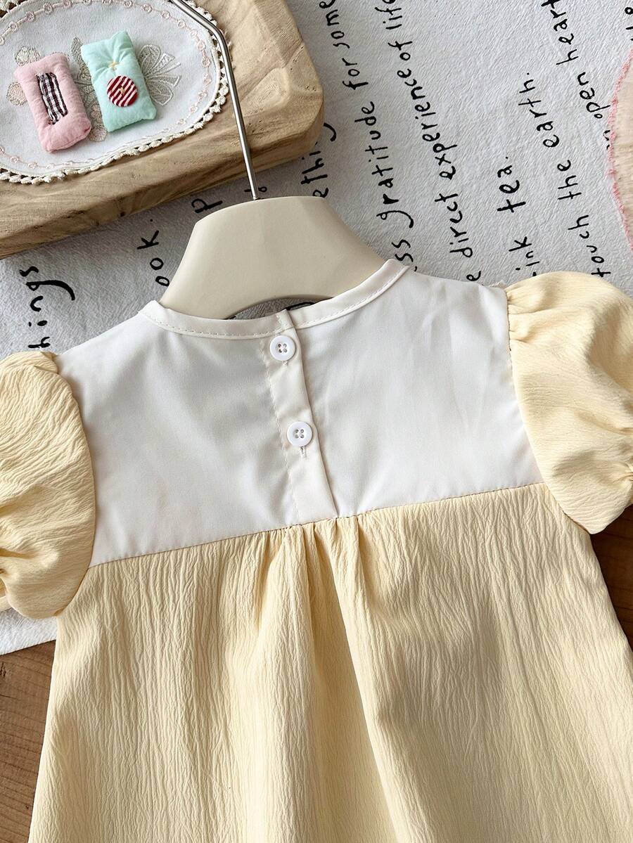 Infant Girl Peter Pan Collar Floral Embroidered Summer Dress for Casual Wear