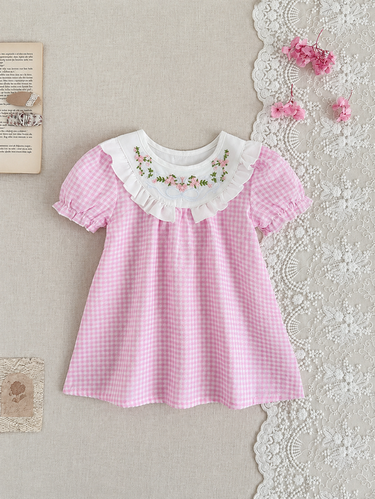 Infant Girl Peter Pan Collar Floral Embroidered Summer Dress for Casual Wear